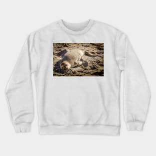 Elephant Seal Sunning On Beach Crewneck Sweatshirt